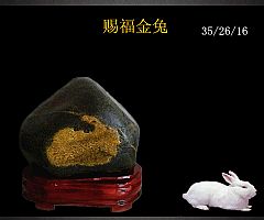 汉江金纹石--【赐福金兔】